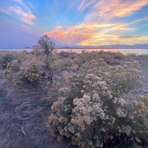 Meet your Posher, Necole